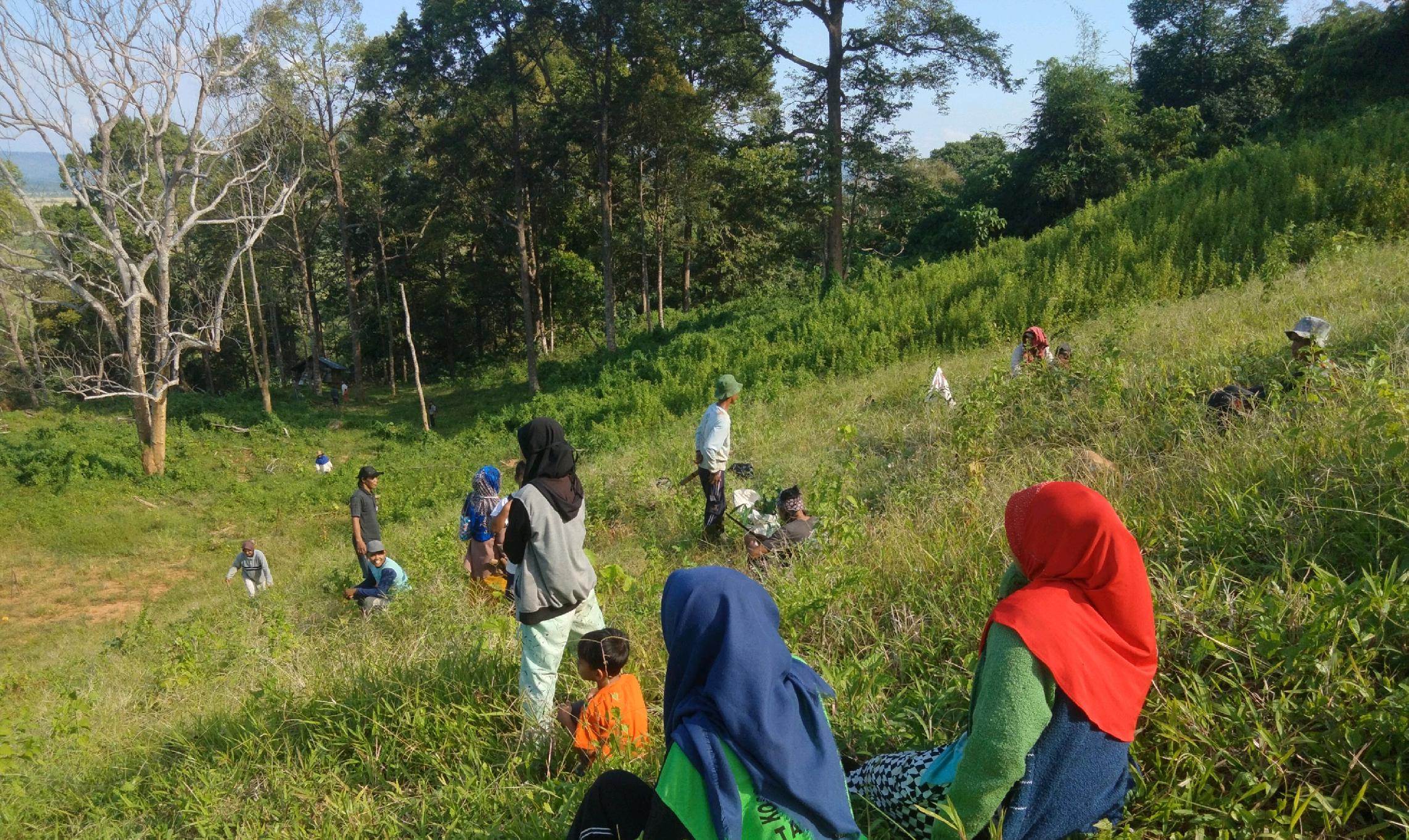 galeri
