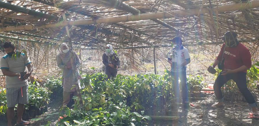 galeri