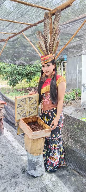 galeri