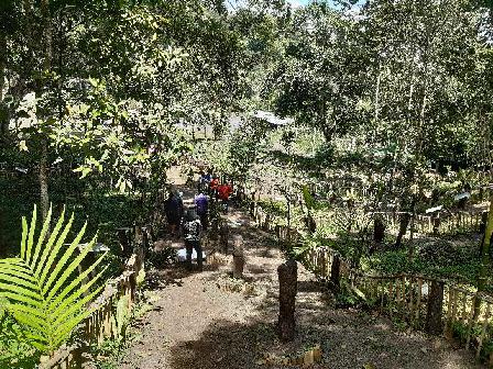 galeri