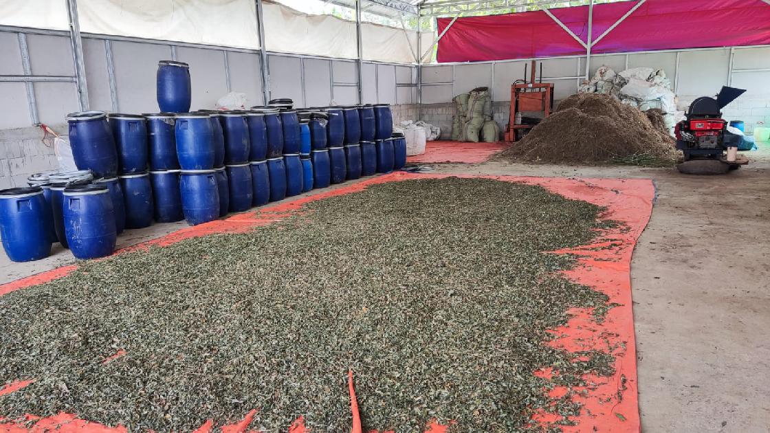 galeri