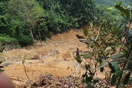 galeri