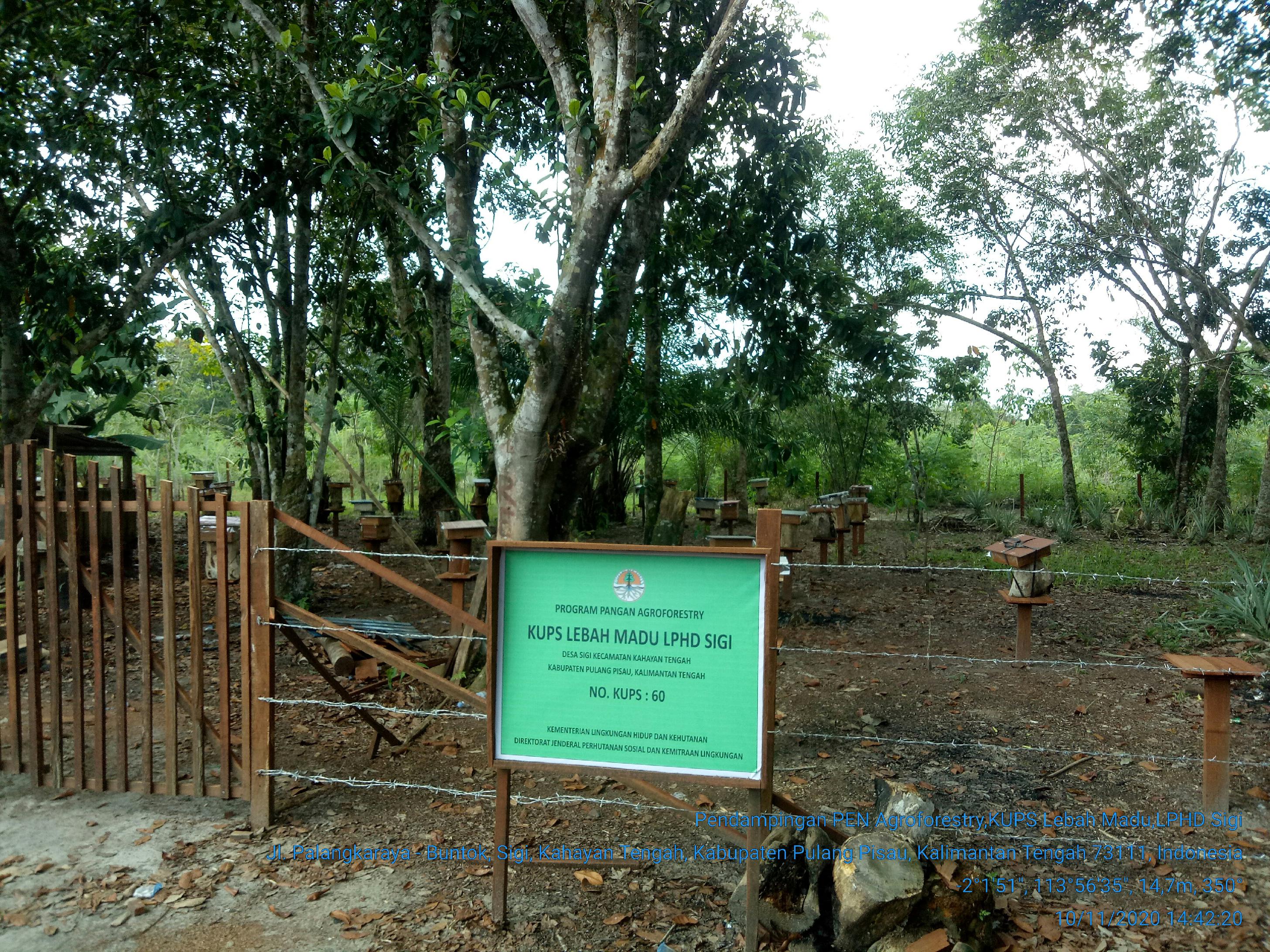 galeri