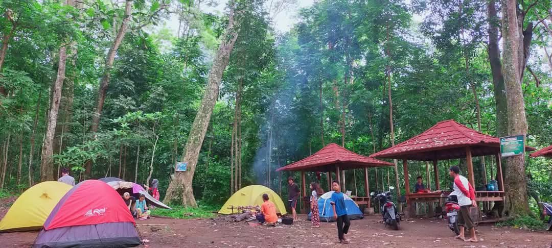 galeri