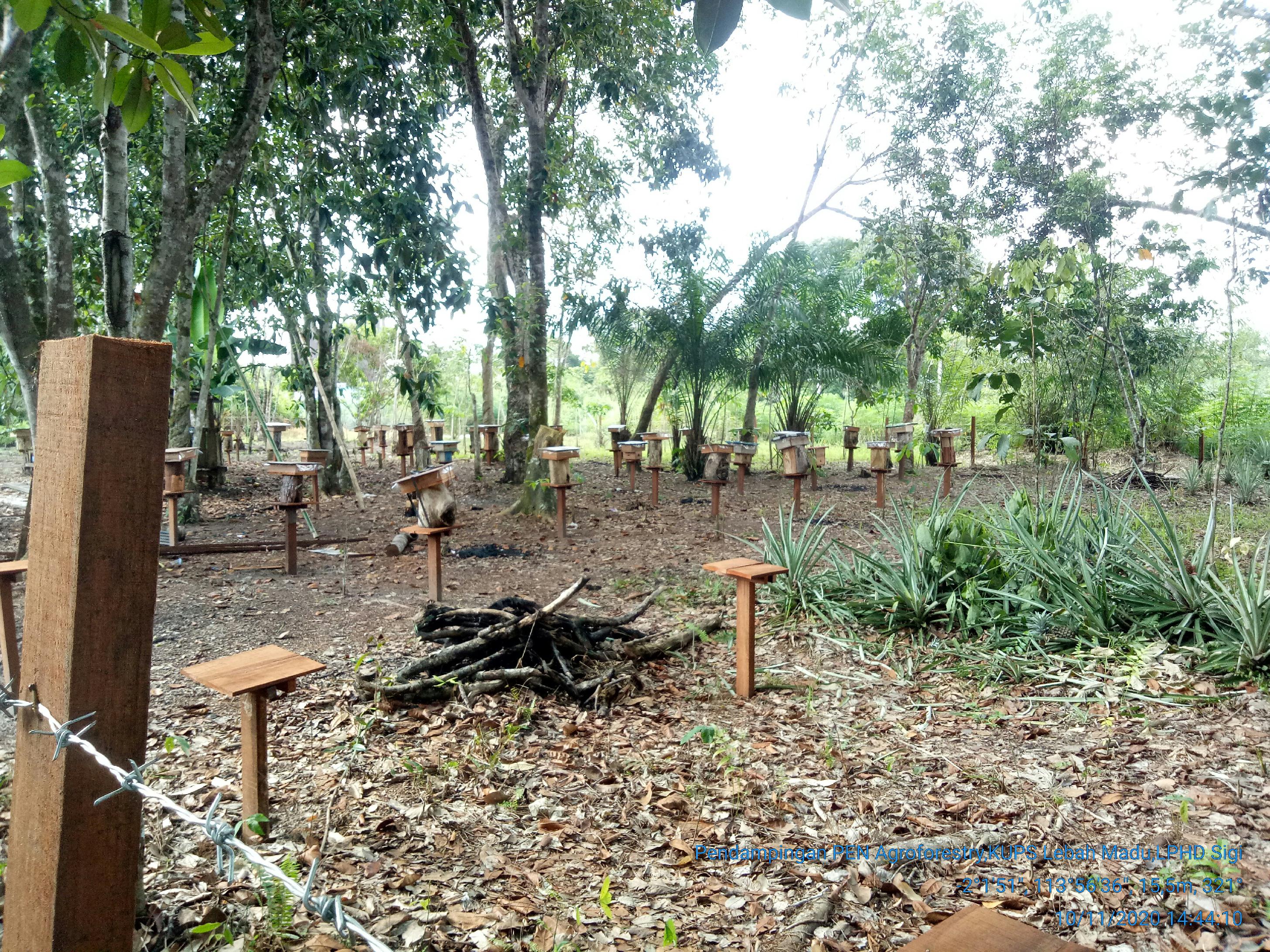 galeri