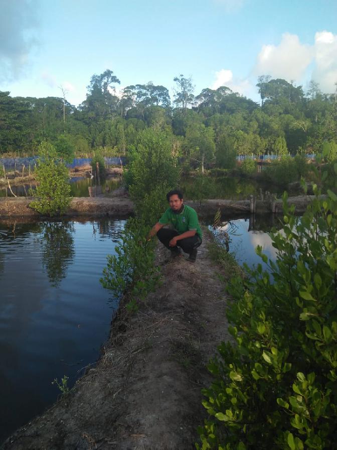 galeri