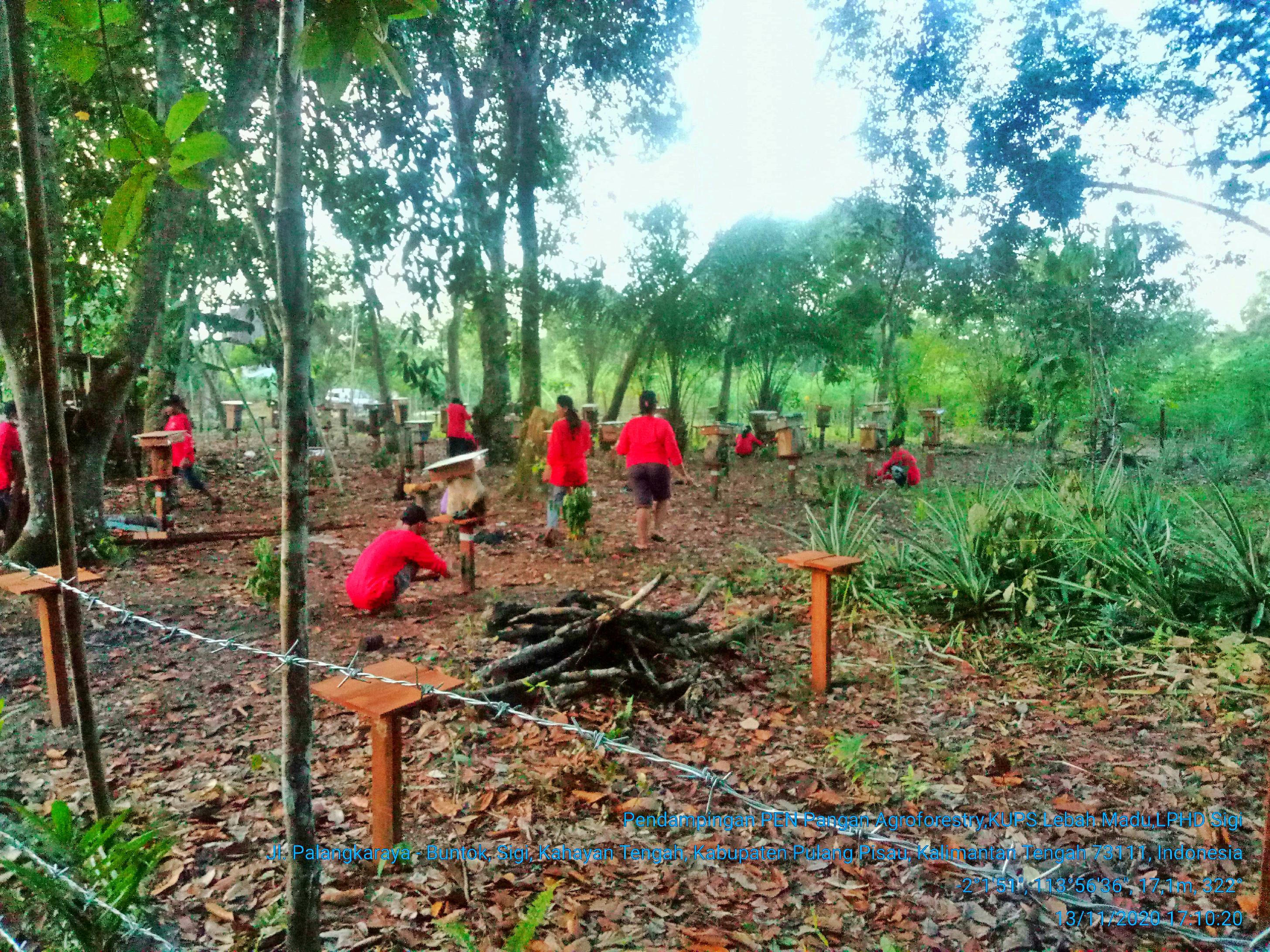 galeri