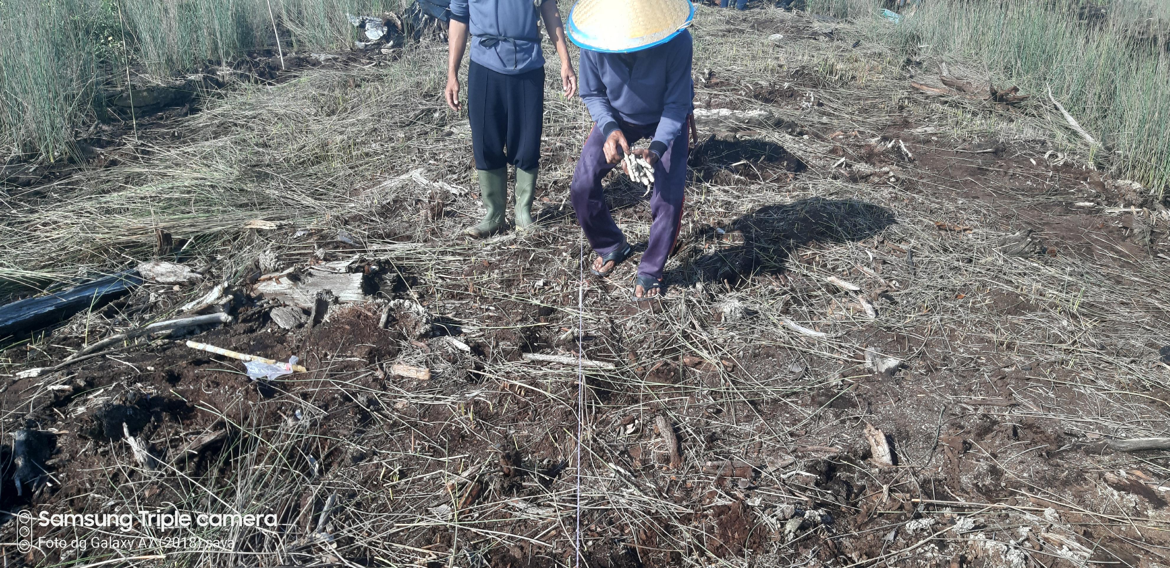 galeri