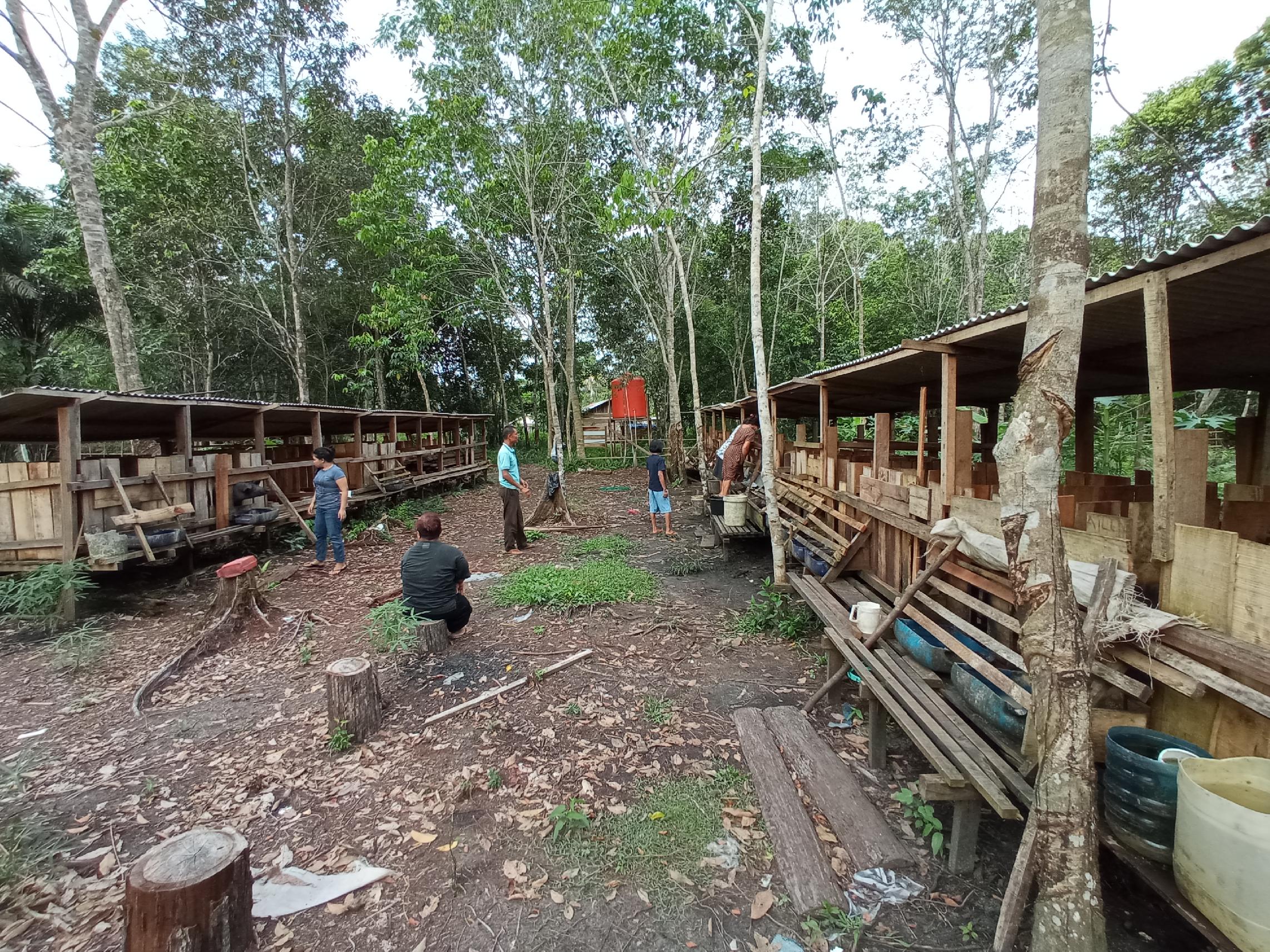 galeri